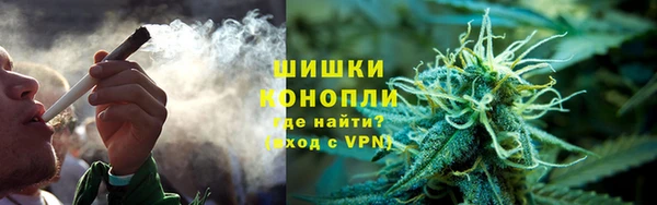 бошки Алексин
